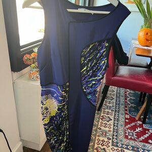 BCBG Runway dress, size small. Designer style.